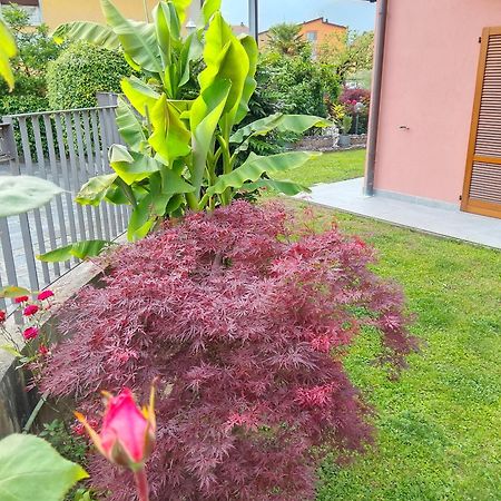 Doris' Home Pisogne Exterior foto