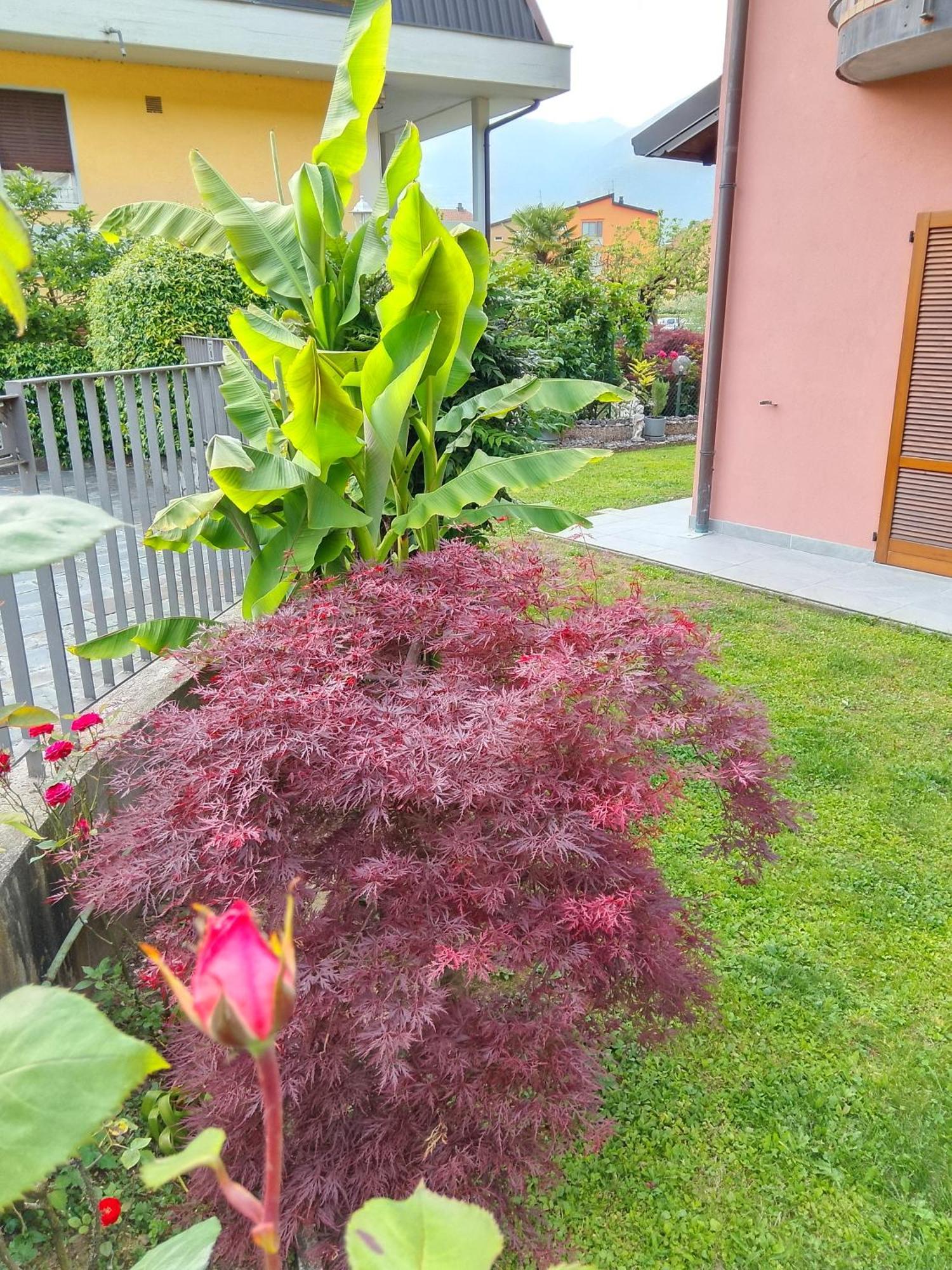 Doris' Home Pisogne Exterior foto